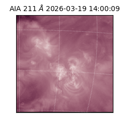 saia - 2026-03-19T14:00:09.624000