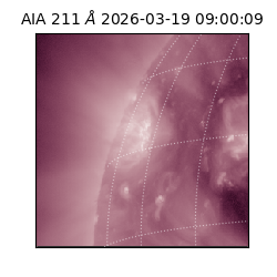 saia - 2026-03-19T09:00:09.630000