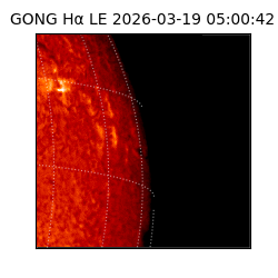 gong - 2026-03-19T05:00:42