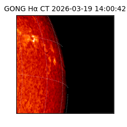 gong - 2026-03-19T14:00:42