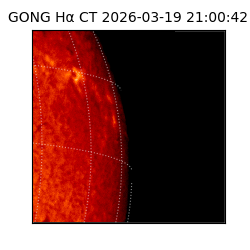 gong - 2026-03-19T21:00:42