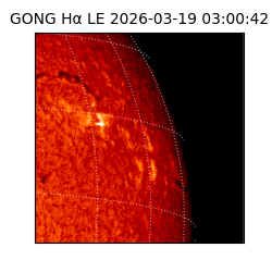 gong - 2026-03-19T03:00:42