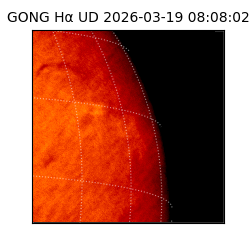gong - 2026-03-19T08:08:02
