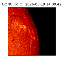 gong - 2026-03-19T14:00:42