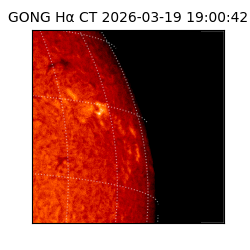 gong - 2026-03-19T19:00:42