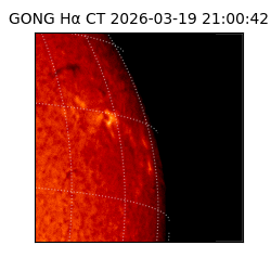 gong - 2026-03-19T21:00:42