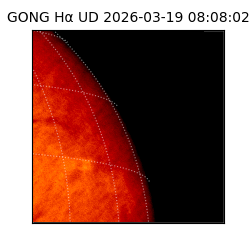 gong - 2026-03-19T08:08:02