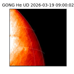 gong - 2026-03-19T09:00:02