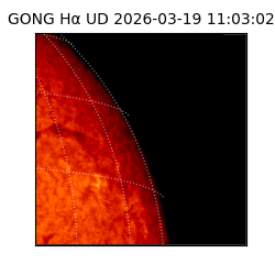 gong - 2026-03-19T11:03:02