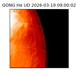 gong - 2026-03-19T09:00:02