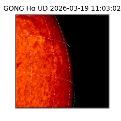 gong - 2026-03-19T11:03:02