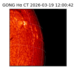 gong - 2026-03-19T12:00:42
