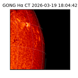 gong - 2026-03-19T18:04:42