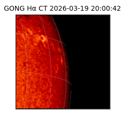 gong - 2026-03-19T20:00:42