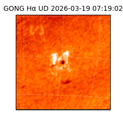 gong - 2026-03-19T07:19:02