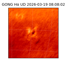 gong - 2026-03-19T08:08:02