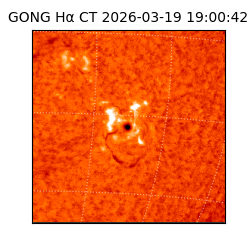 gong - 2026-03-19T19:00:42