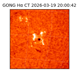 gong - 2026-03-19T20:00:42