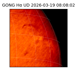 gong - 2026-03-19T08:08:02