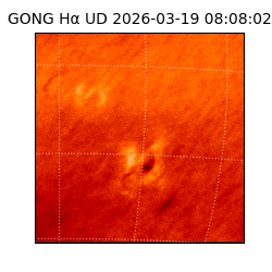 gong - 2026-03-19T08:08:02