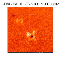 gong - 2026-03-19T11:03:02