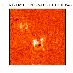 gong - 2026-03-19T12:00:42