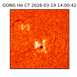 gong - 2026-03-19T14:00:42