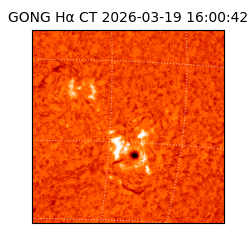 gong - 2026-03-19T16:00:42