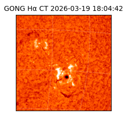 gong - 2026-03-19T18:04:42