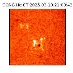 gong - 2026-03-19T21:00:42