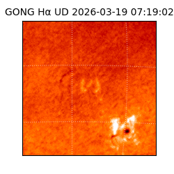 gong - 2026-03-19T07:19:02