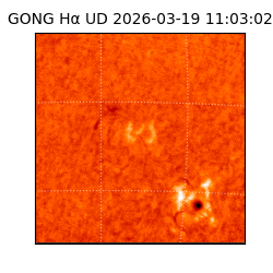 gong - 2026-03-19T11:03:02