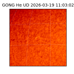 gong - 2026-03-19T11:03:02