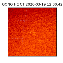 gong - 2026-03-19T12:00:42