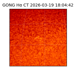 gong - 2026-03-19T18:04:42