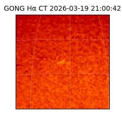 gong - 2026-03-19T21:00:42