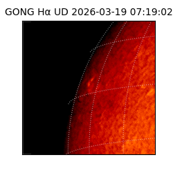 gong - 2026-03-19T07:19:02