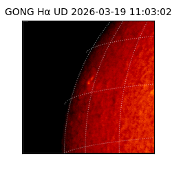 gong - 2026-03-19T11:03:02