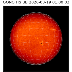 gong - 2026-03-19T01:00:03