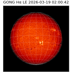 gong - 2026-03-19T02:00:42
