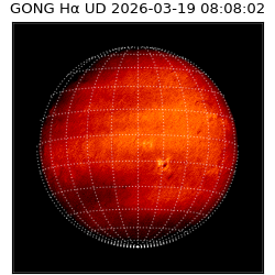 gong - 2026-03-19T08:08:02