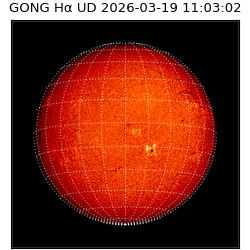 gong - 2026-03-19T11:03:02