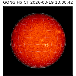gong - 2026-03-19T13:00:42