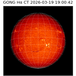 gong - 2026-03-19T19:00:42