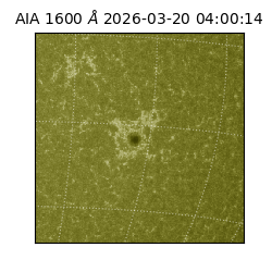 saia - 2026-03-20T04:00:14.124000