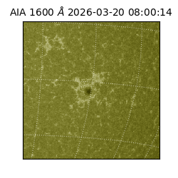 saia - 2026-03-20T08:00:14.123000