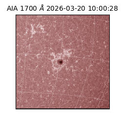saia - 2026-03-20T10:00:28.446000
