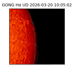 gong - 2026-03-20T10:05:02