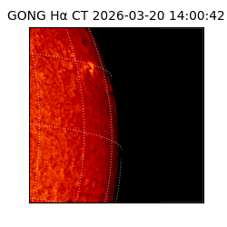 gong - 2026-03-20T14:00:42