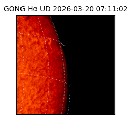 gong - 2026-03-20T07:11:02